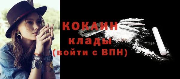 прущие грибы Баксан