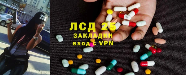 прущие грибы Баксан