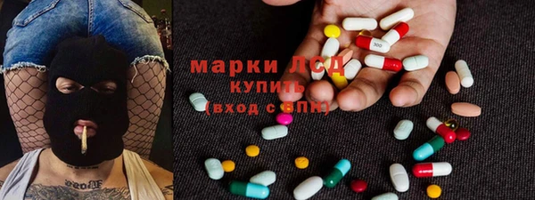 прущие грибы Баксан