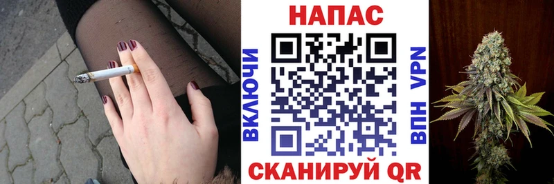 Конопля планчик  закладка  Шагонар 